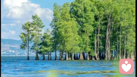 你是生活的主人，不是生活的奴隶