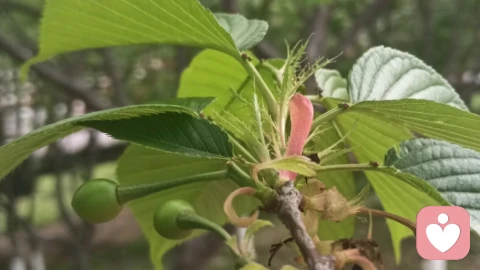 治怒的良方是延迟，先停一停，再好好的爱