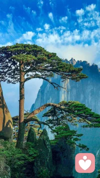 和想象中的人谈恋爱，就是和自己谈恋爱。我们从没有真正接纳过一个人。我们爱的是自己。