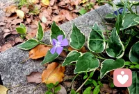 道属阴，万物负阴而抱阳。阳显于外，我们看到丈夫在忙来忙去。而阴藏于内，是家庭万物生发的本源。所以，妻子是家庭的定海神针。