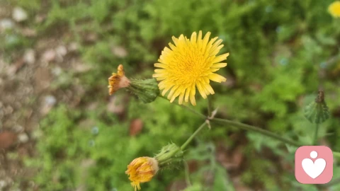 心量,是一个人最顶级的软实力