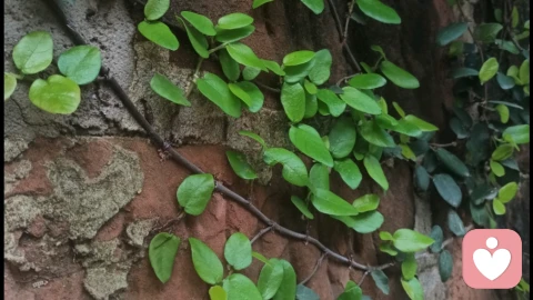 人应自视能配得上最高尚的东西——黑格尔\n