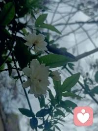 如果不能以无有入于无间，就不会对他人的内心有体悟和洞察能力，就会醉心于自己所谓的付出，而忽略了别人的委屈。其结果就是我执，总认为自己是对的。这世界最悲哀的事情就是，明明自己做错了，却认为别人都错了。