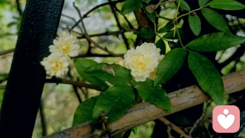 别再拼命“救”孩子了，真正的病根，其实在家里