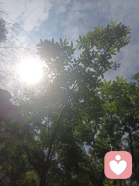 心宽一寸，路宽一丈；
气和一分，福增一层。配图