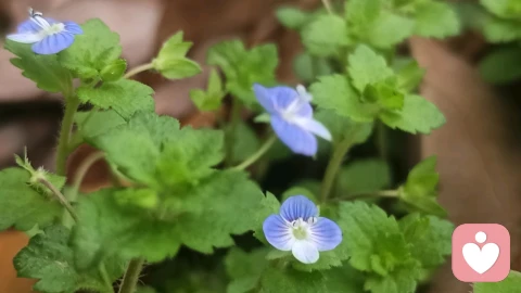 多说好话，就是积德