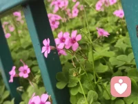 真正的成熟，是终于懂得：自己才是自己最坚实的依靠，自己才是自己最后的退路。配图