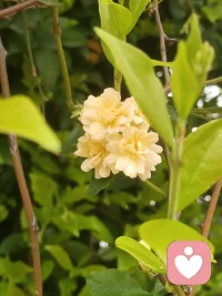 心不安住，福不安稳；财不久在，寿不久存。配图