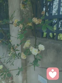 司马懿曾说
看人之短，天下无一人可交
看人之长，世间皆是吾师配图