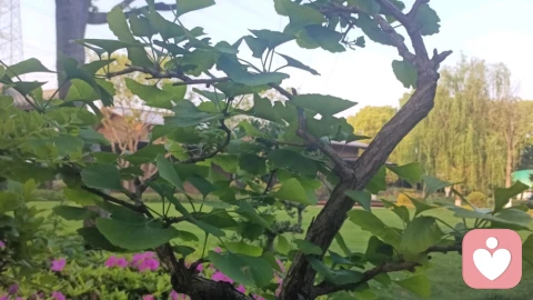 时常会收到身边人的消息，近来总被噩梦纠缠。睡不安稳。\n