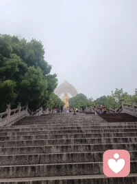 学习，修行的一切根本，都是自己的起心动念。念念善意，念念真诚，念念清净。