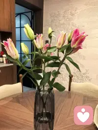 花开有时，倾听常在

今天在家插一束花
学一曲吉他🎸配图