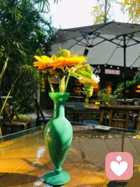 一定要珍惜你身体里尚存的欲望，想去的地方，想吃的东西，心心念念的人，因为你不知道哪一天这些突然就不想要了。

庆幸自己年轻时走过很多地方，看过世间万千风景。也正因如此，在后来遇见风浪时，才有了如今的从容、勇气与力量。配图