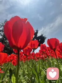 每天都拒大几单
系统会不会判定我为“间谍”呀
我也不想呀
唉，可能只有女倾听师懂～配图