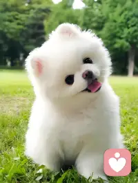 生活很难，情绪很重，心事很多。
你不用假装没事，也不用一直懂事。
我在这里，接住你的所有情绪。配图