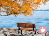 我们都需要一个，可以放心说话的地方。
不被打扰，不被泄露，不被指责。
我在这里，听你所有，陪你所有。配图