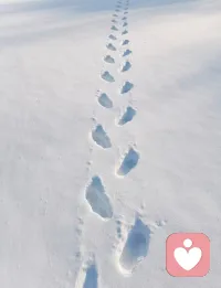 每个人都有故事，或酸或甜或喜或悲，如果你想说想释放，那我在这等你呀配图