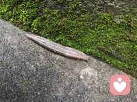 谢谢我们在此偶遇，你的情绪和压力由我来接管和安置吧🌹🌹配图