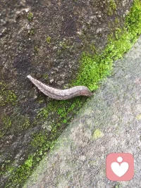 谢谢我们在此偶遇，你的情绪和压力由我来接管和安置吧🌹🌹配图