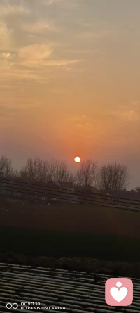 谢谢我们在此偶遇，你的情绪和压力由我来接管和安置吧🌹🌹配图