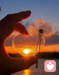 期待生命中许多还未发生的幸福，偶遇周六偶遇你配图