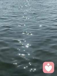 做个乐观的悲观主义者配图