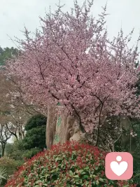 弱小和勇敢同时出现
我们称其为坚韧配图