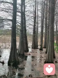 要大步向前
为自己勇敢配图