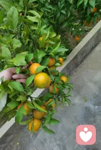 请无条件爱自己
你只对自己有意义配图