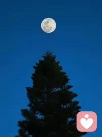 朝朝暮暮又年年，可爱小人间配图