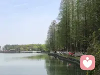 不必总是匆匆赶路，偶尔也要停下来，等一等灵魂。
看看路边新开的花，感受一下午后的暖阳。生活中的幸福感，往往藏在那些看似“无用”的慢时光里。今天，请给自己一个无所事事的下午吧。配图