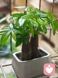 -
向上走 天道自会断裂与你能量不匹配的人和事配图