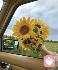 冬天会周而复始，
风雪终会停，
草木终会醒。
该相逢的人会再相逢，
该遇见的美好，
也终将跨越山海奔赴而来。
所以我们不必总惦记遗憾，
不必困在过去的遗憾里自我消耗。
那些错过的，失去的，未完成的，都交给时间。
往后余生，学会放下，学会释怀，学会心怀期待。
相信所有的离别，都是为了更好的重逢相信所有的等待，终会迎来温柔的结局配图