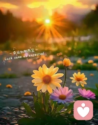 “别想太多，好好生活，
路再长也有尽头，
好与坏都会过去，
想开、看开、放开……”配图