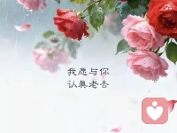 张爱玲说喜欢和爱不同，喜欢的时候在一起是为了快乐，而爱的时候即使不快乐也依然想要紧紧相拥，喜欢是心动，而爱一定会心痛，喜欢可以舍得，但爱一定舍不得……配图