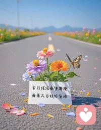 没什么好焦虑的，你就大大方方的为自己选择买单就好了，你就坦坦荡荡的去面对你所经历的一切，踏下心来想想接下来该怎么办，拍拍身上的灰尘勇敢的向前走就好了，你要明白你做的每一个决定都自有它的道理，你走的每一步也都是你成长路上，必不可少的经历，所以你就别再做没有意义的抱怨了。配图