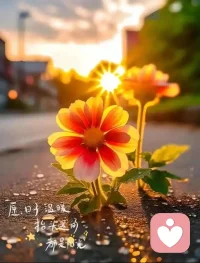 查理·芒格说：“我从不浪费时间感受背叛，我始终告诉自己，我是幸存者，不是受害者。”当我们从受害者心态转成幸存者心态，会发现人生瞬间开阔。加油！配图