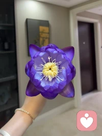 比起那句，日落西山非我意，唯有晚霞懂我心，我更喜欢莫道桑榆晚。为霞尚满天，有的事来迟一点，慢一点。都没有关系，因为你要相信一切都是最好的安排配图