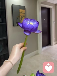 比起那句，日落西山非我意，唯有晚霞懂我心，我更喜欢莫道桑榆晚。为霞尚满天，有的事来迟一点，慢一点。都没有关系，因为你要相信一切都是最好的安排配图