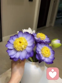 比起那句，日落西山非我意，唯有晚霞懂我心，我更喜欢莫道桑榆晚。为霞尚满天，有的事来迟一点，慢一点。都没有关系，因为你要相信一切都是最好的安排配图