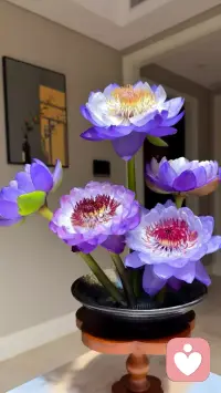 不慌不忙  自带光芒配图