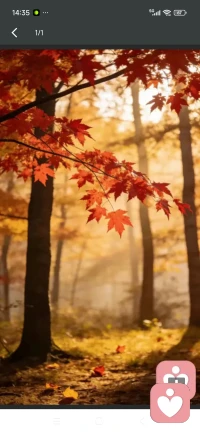 心若不安，言语便是归途。
家庭的纠葛、情感的迷茫、婚姻的冷暖、内心的自卑，
都不是你的错，只是需要被看见、被理解、被温柔接住。
愿以一颗安静的心，陪你梳理情绪，找回力量。配图