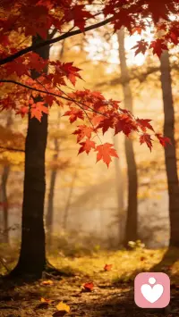  别硬撑，你值得被好好听一听。配图