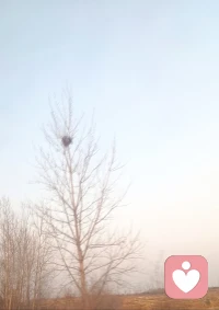 食，只求果腹，衣，只为蔽体
纵有万贯不过一日三餐，
纵有千宅夜眠也不过三尺而已配图