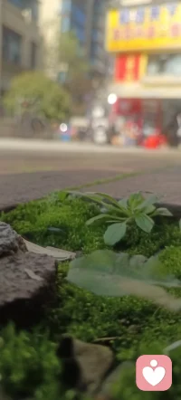 下了那么久的雨，终于出太阳了😍
看见今天的太阳，谁还记得昨天之前，一个月都天天下雨时的郁闷
                                             时间是最好的终结者配图