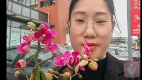 梦馨❤️情感倾听者