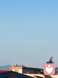 晨光抚身，静气安心
止步非停，前行有径
心静风至，万物皆期