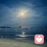 情绪回收站的头像