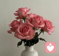 我们的情绪像河水，不必对抗，只需观察它流过。当负面念头来临时，告诉自己：“我看到你了，但我不跟随你。