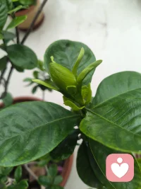 愿意倾听你无处诉说的烦恼，生活总有一些不如意，找个人说说，不要让烦恼堆积，我是你的倾听师——鹿鹿姐!
